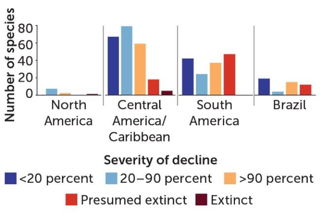 A chart showing the "Severity of decline' on the X-axis, the "Number of species" on the Y-axis, and clusters showing "North America," "Central America/Caribbean," "South America" and "Brazil" on the chart.